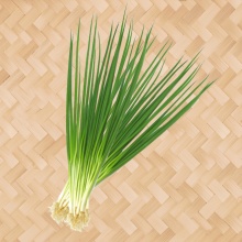 葱